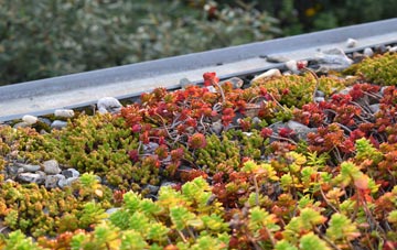 the cost of Felingwmisaf green roof installation