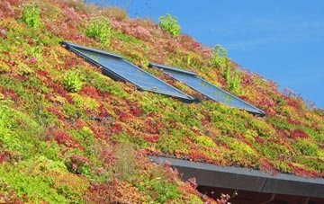 Felingwmisaf living roof systems
